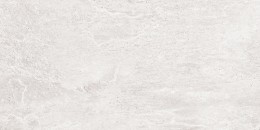 Centre Ivory Porcelain Wall & Floor Tile 300x600mm